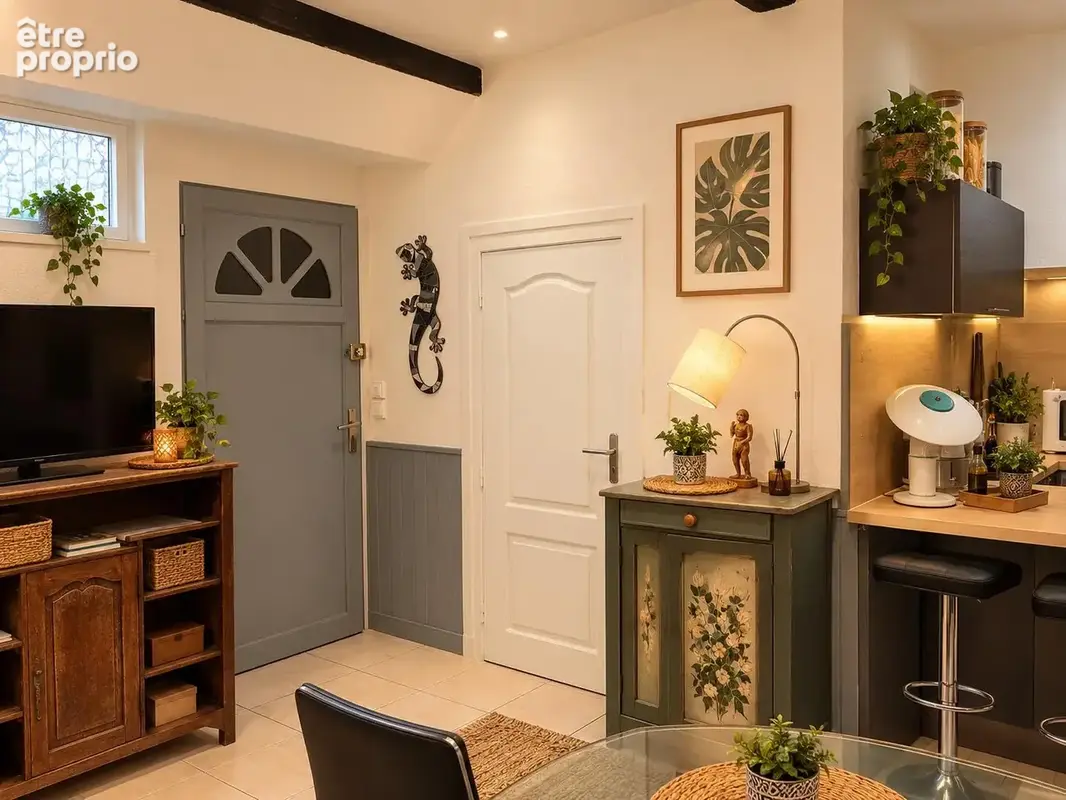 Appartement meublé rénové 1 chambre, séjour lumineux, à 100 m du centre de Céret - photo 3
