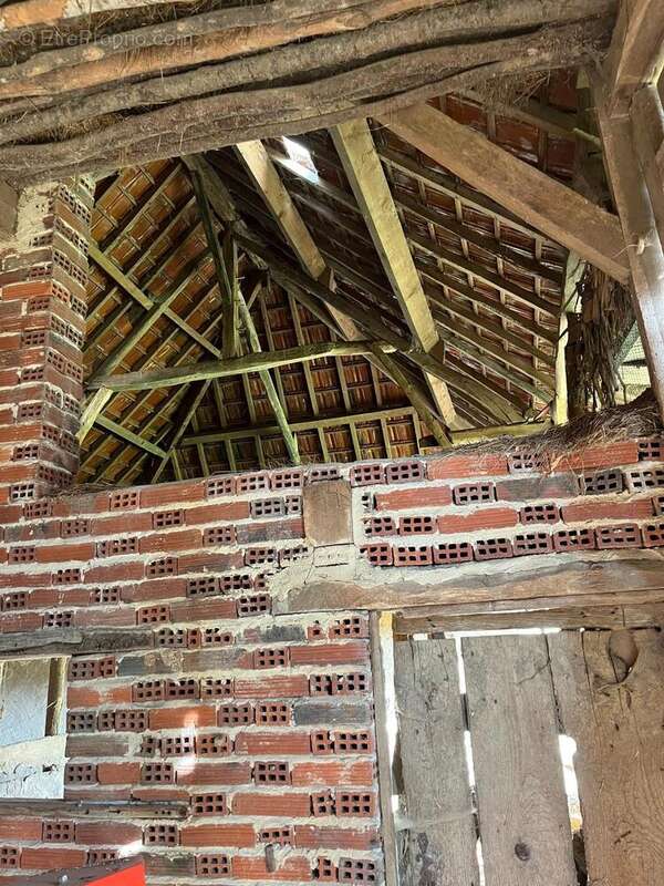 Photo 3 - Terrain à MOUTHIER-EN-BRESSE