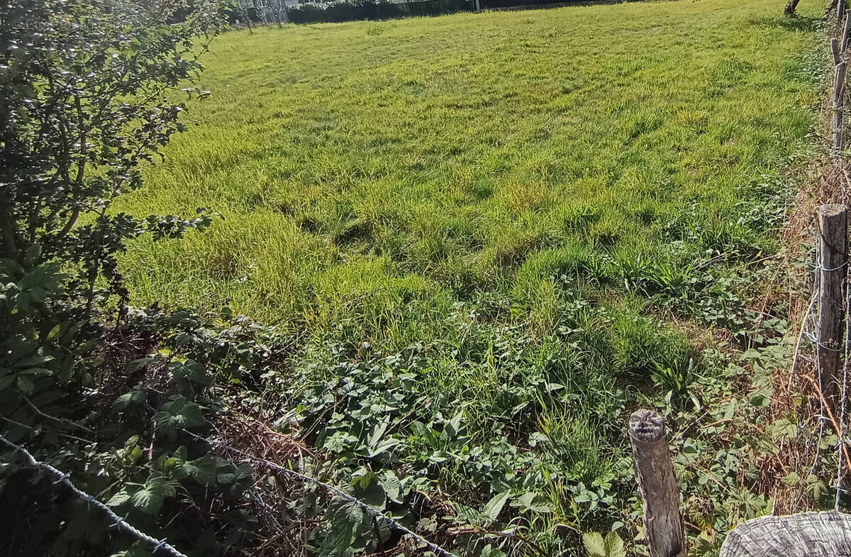 Terrain à GIROMAGNY