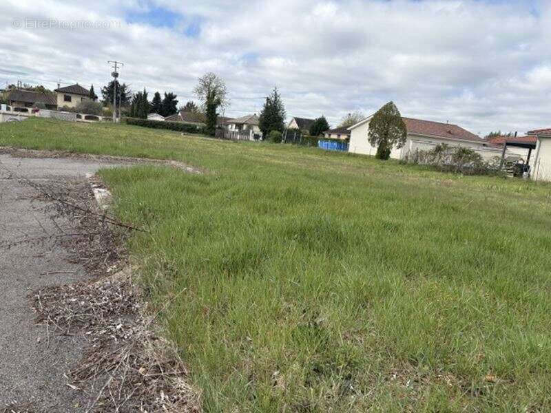 Terrain à SAINT-ROMAIN-DE-JALIONAS