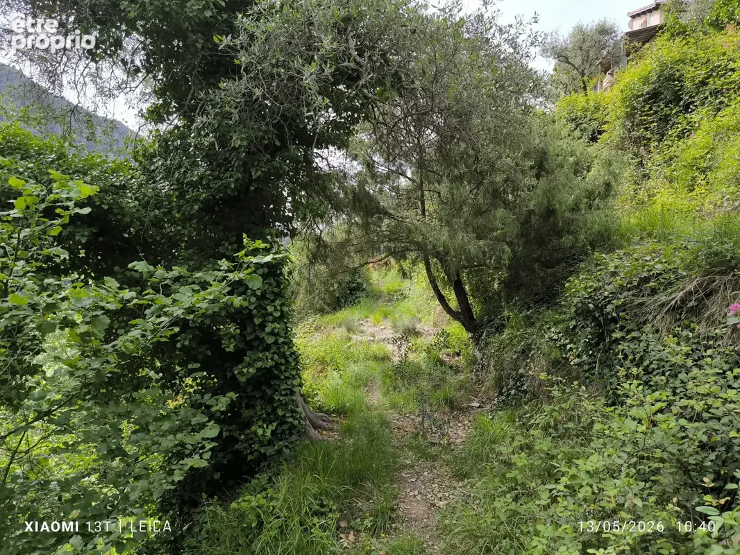 Terrain 5 709 m² à vendre à Breil-Sur-Roya (06540) - photo 5