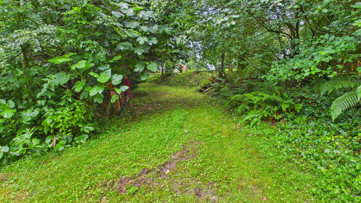 Terrain constructible de 2 244 m² avec forêt de 2 hectares - photo 12