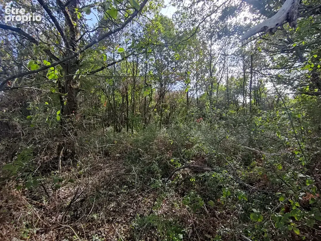 Photo Terrain à Sainte-Flaive-Des-Loups au prix de 6 000€