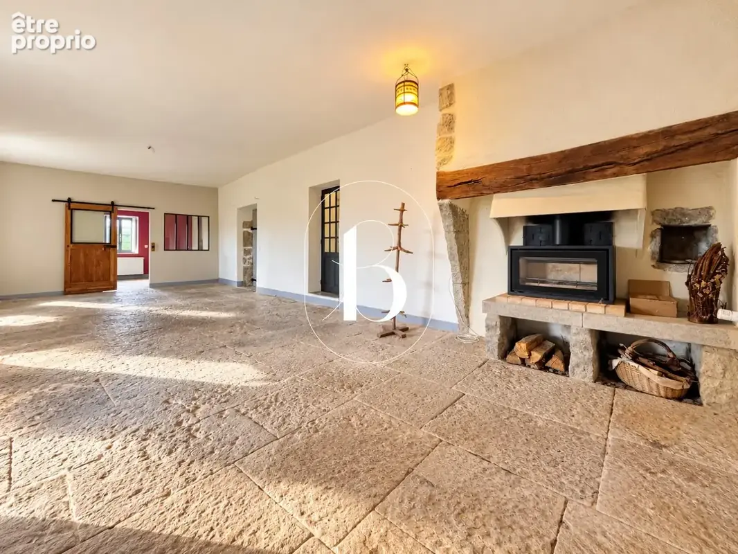 Maison 8 pièces 320 m² à vendre à Barjac (30430) - photo 3
