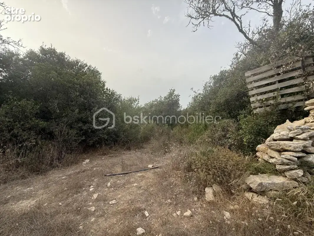 Ensemble immobilier de 4 logements sur 4 200 m² de terrain – investisseur - photo 13