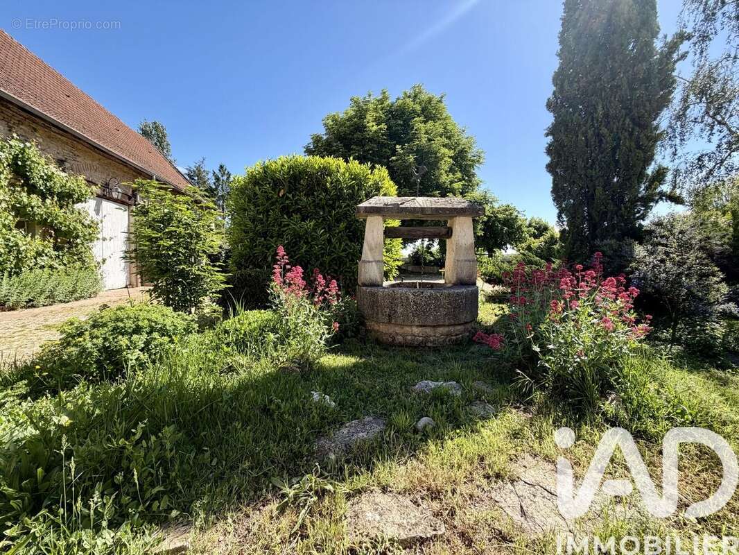 Maison 249 m² à Saint-Ambreuil  - photo 9
