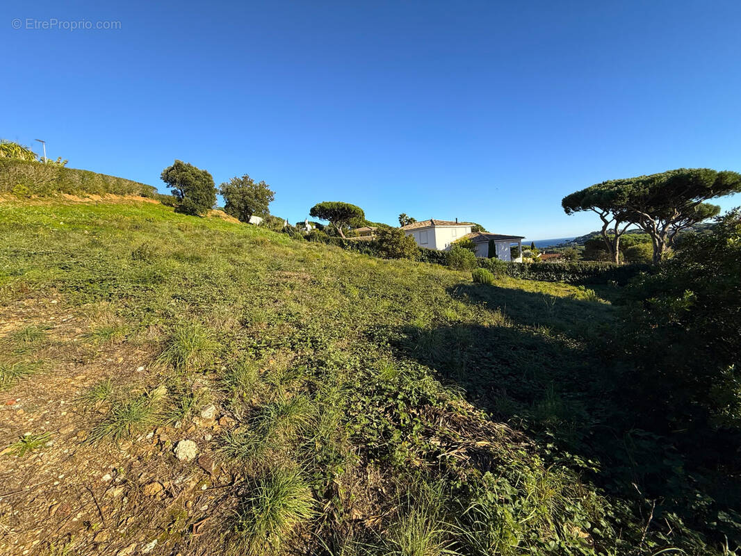 Terrain à SAINTE-MAXIME