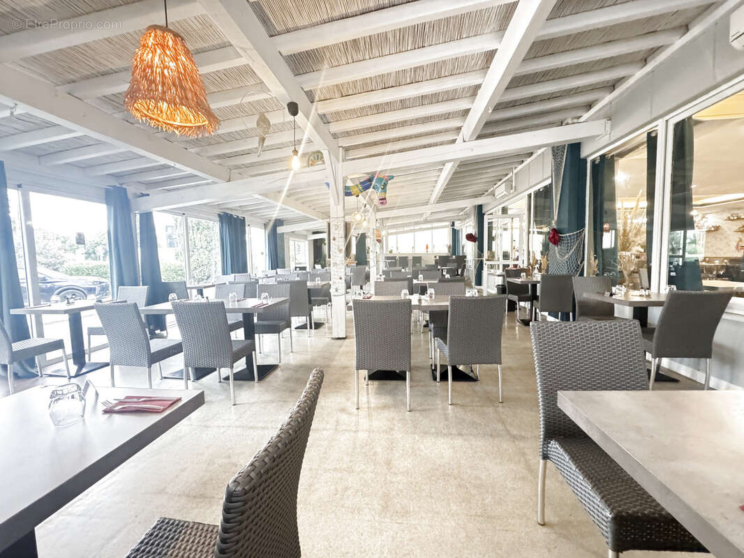 Commerce à SAINT-JEAN-DE-VEDAS