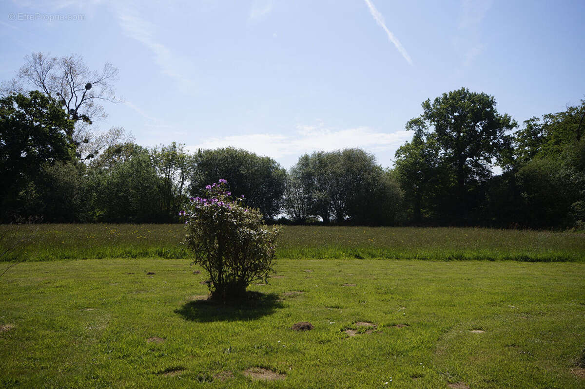 Maison à HUDIMESNIL