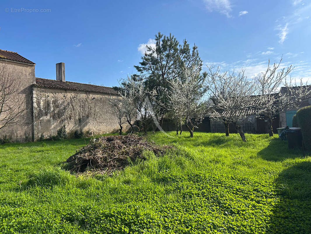 Maison à LE LANGON