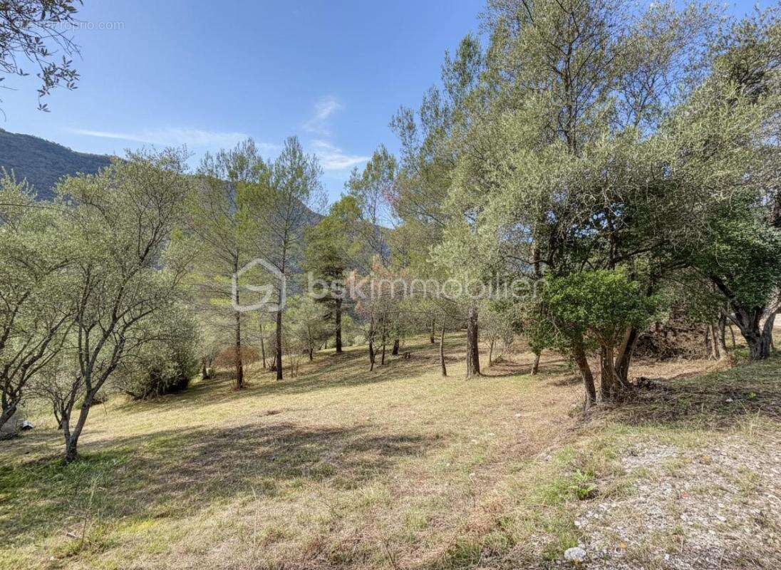 Rare à Pierrefeu : 3 046 m² de nature dont 1 084 m² constructibles, accès direct et étude de sol déjà réalisée - photo 2