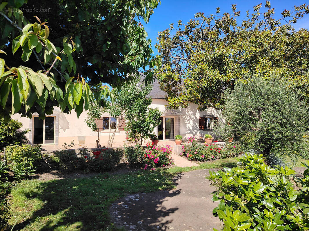 Maison à CHAUDEFONDS-SUR-LAYON