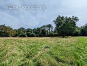 Terrain à COULOMMIERS