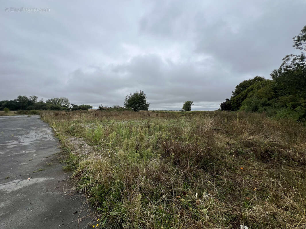 Commerce à LE QUESNEL