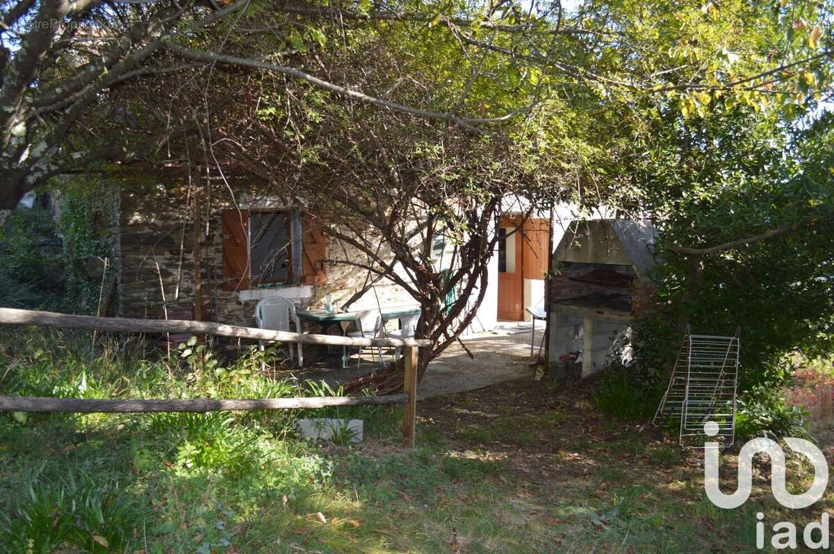 Photo 3 - Maison à SAINT-PRIVAT-DE-VALLONGUE