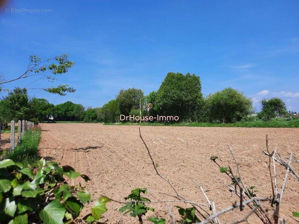 Terrain à PARIGNY