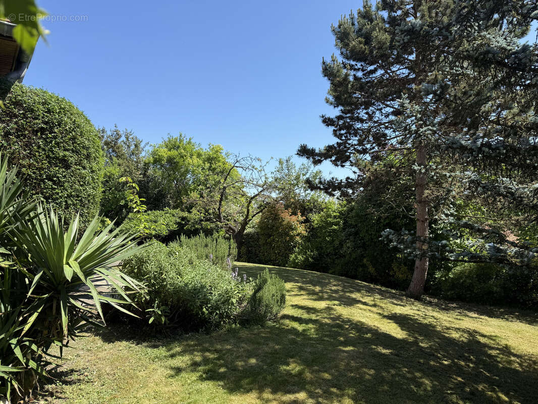 Maison à VILLENNES-SUR-SEINE