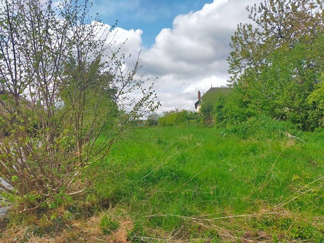 Terrain à VILLAINES-LA-JUHEL