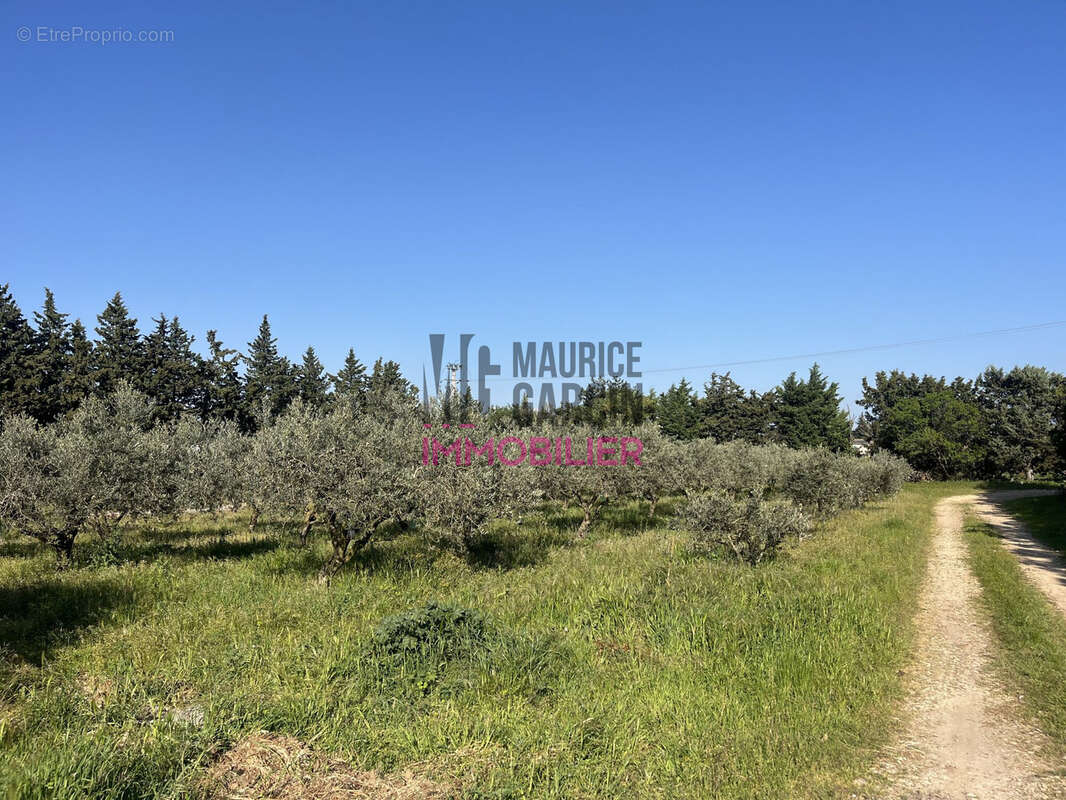 Maison à PERNES-LES-FONTAINES