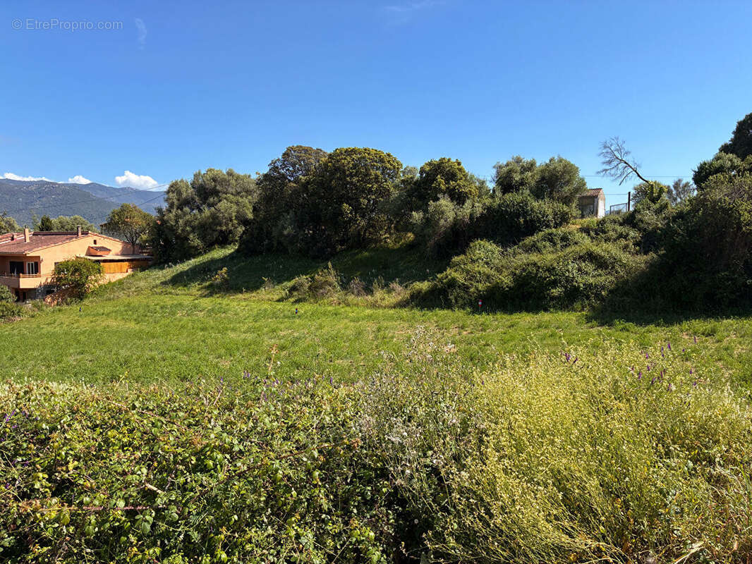 Terrain à BASTELICACCIA