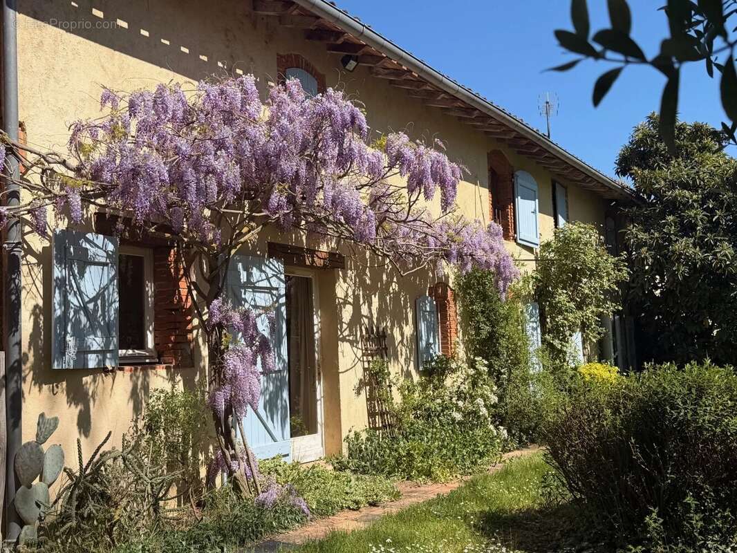 Maison à VERFEIL