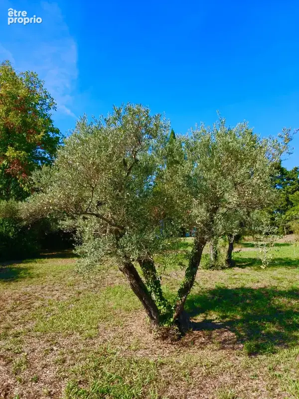 Terrain constructible 1900 m² - photo 4