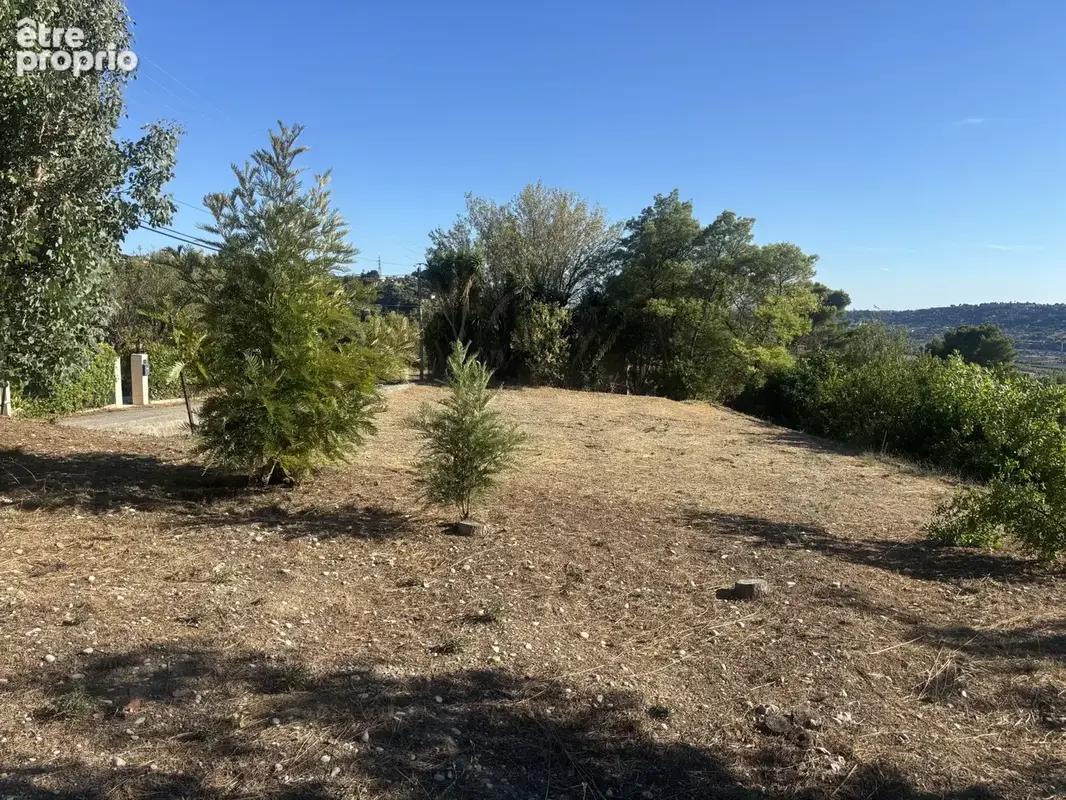 Terrain plat 1 404 m2   division autorisée   potentiel constructible   vue mer possible - photo 2