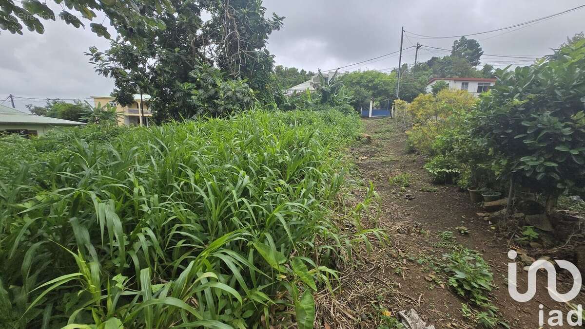 Photo 3 - Terrain à LE LAMENTIN