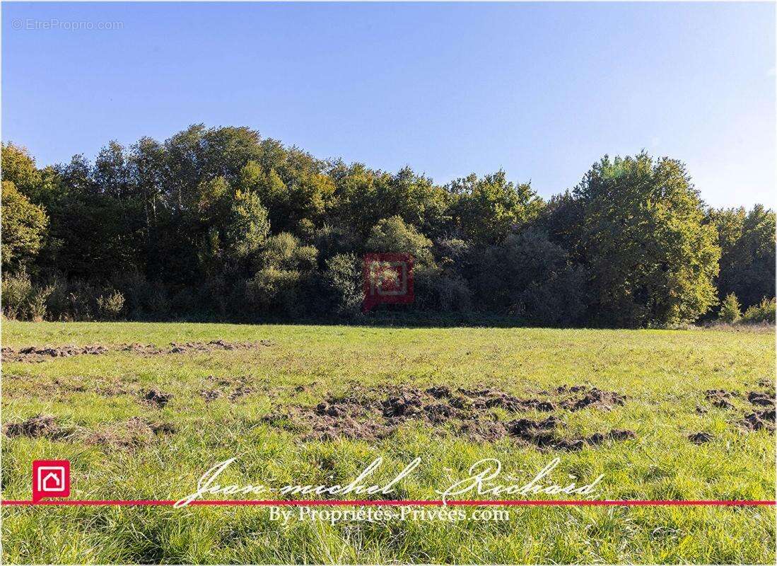 Terrain à GY-EN-SOLOGNE