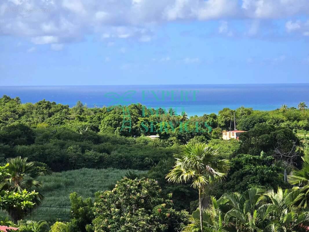 Maison à GRAND-BOURG