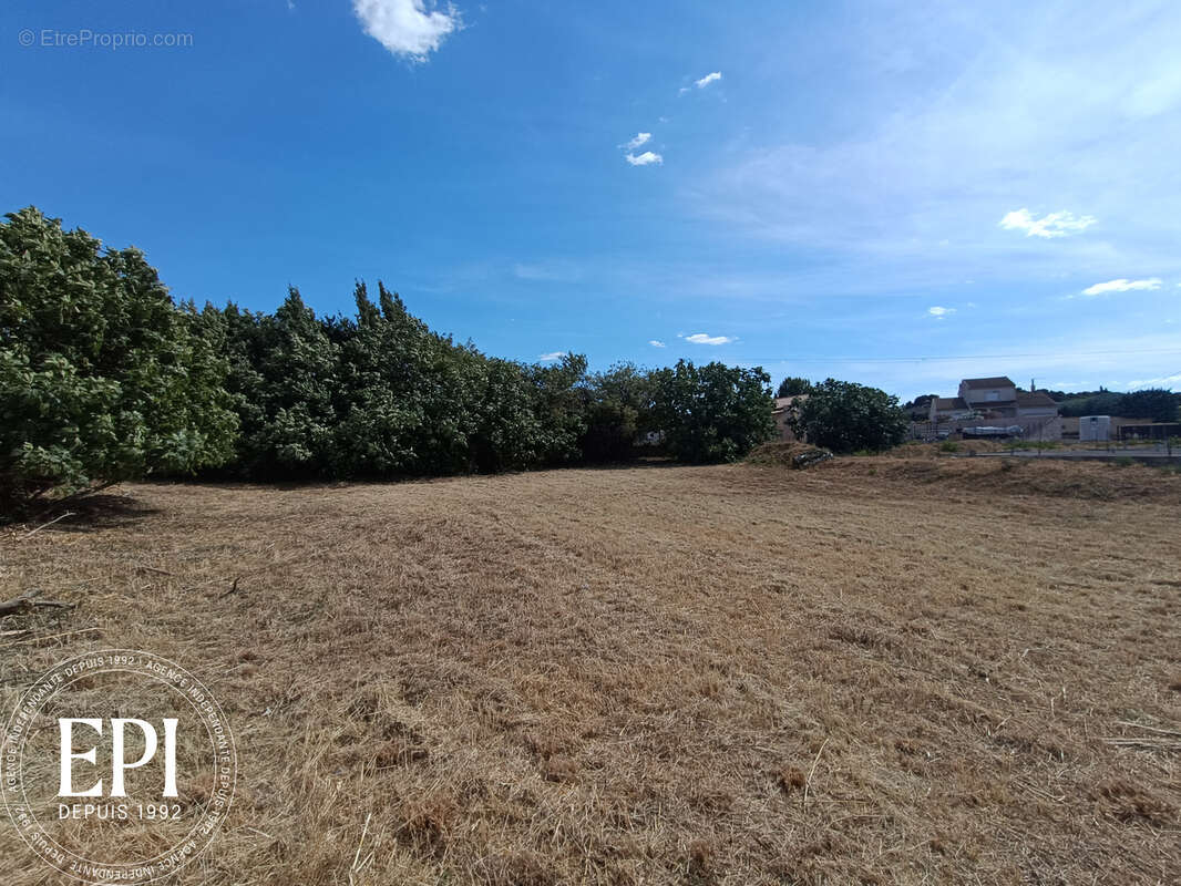 Terrain à vendre 898 m2   Badens (Minervois, proche Trèbes,  Carcassonne) - photo 3