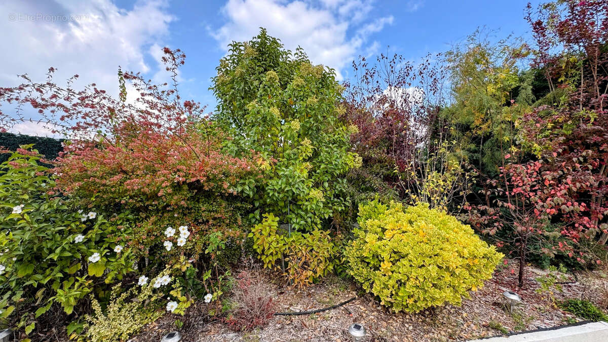 Maison à CHATEAUNEUF-LE-ROUGE