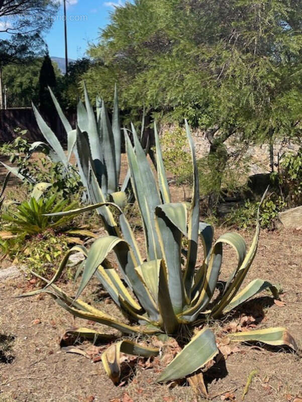 Maison à SAINTE-MAXIME