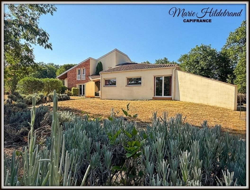 Maison à LAROQUE-TIMBAUT