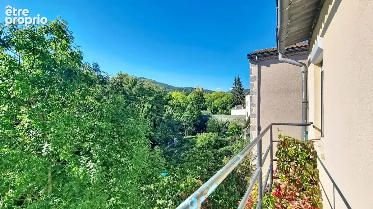 Maison saillant - photo 13