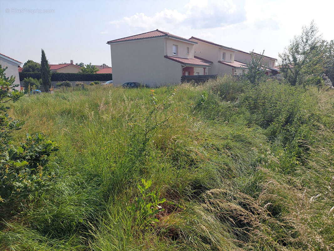 Terrain à SAINT-ANDRE-LE-PUY