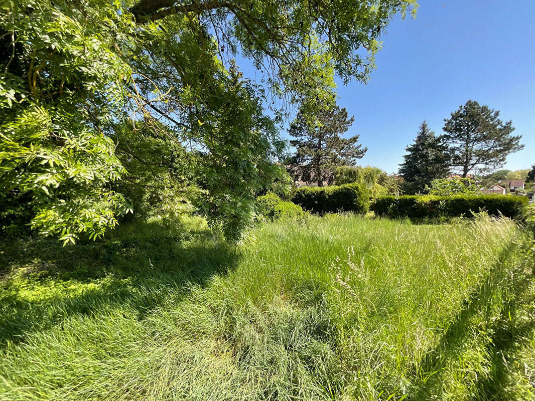 Terrain à MAURECOURT