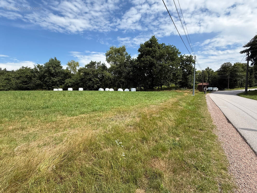 Terrain à SAINT-ETIENNE-LES-REMIREMONT