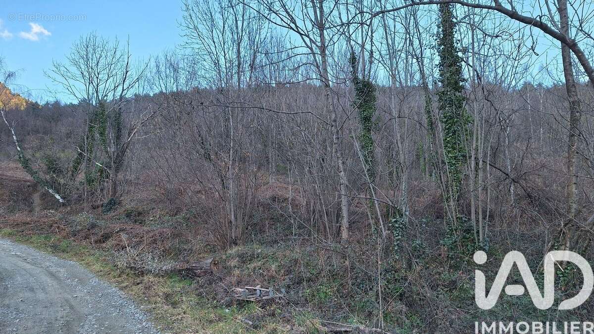Photo 7 - Terrain à PRATS-DE-MOLLO-LA-PRESTE