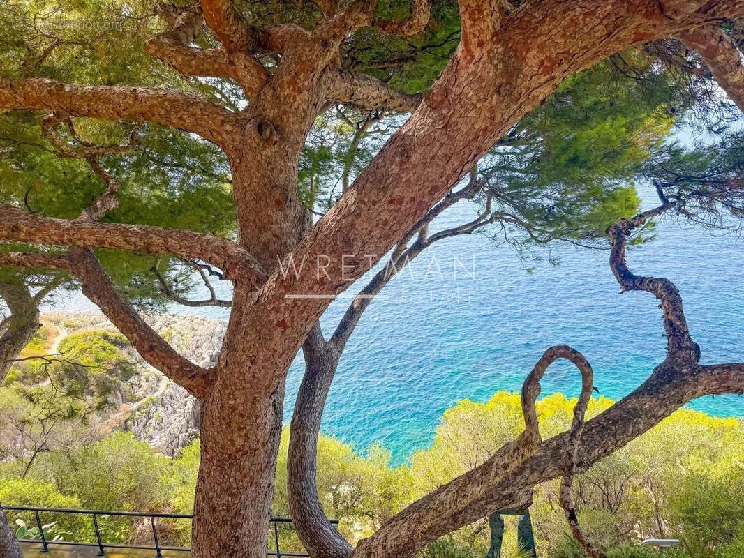 Villa d'Exception avec Vue Panoramique sur la Mer – Cap de Nice - photo 32