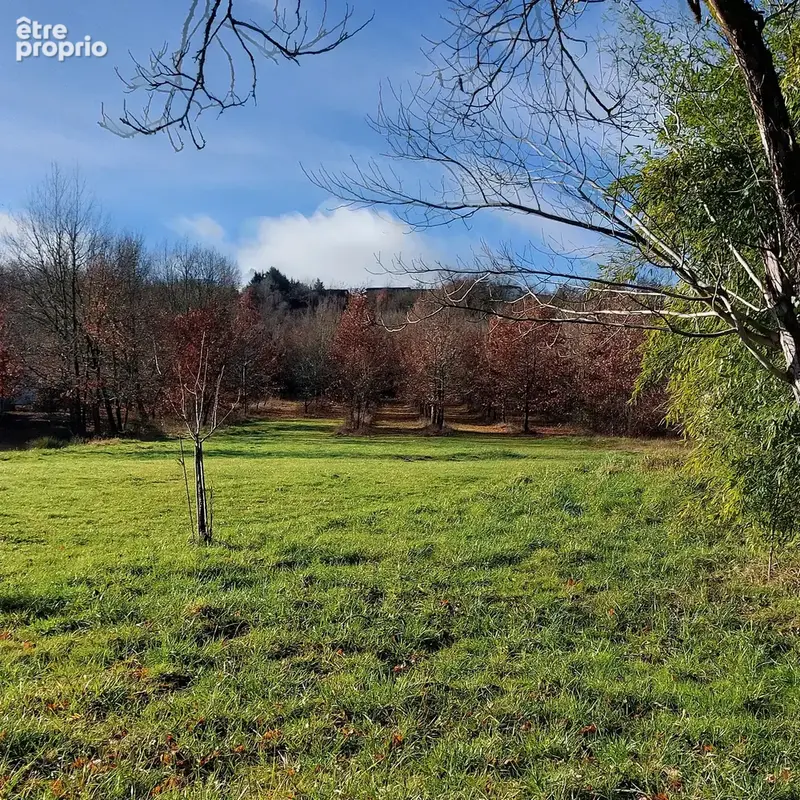 Maison à vendre 7 pièces MONTAUBAN (82) avec hangar de 150m², 6861m² de terrain avec une partie boisée - photo 41