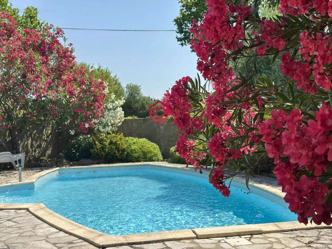 Jolie villa Provencale a rafraichir: 4 chambres, double garage, jardin et piscine – à 5 min du centre de Carcassonne - photo 3