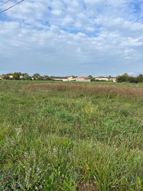 Terrain à GAILLAC