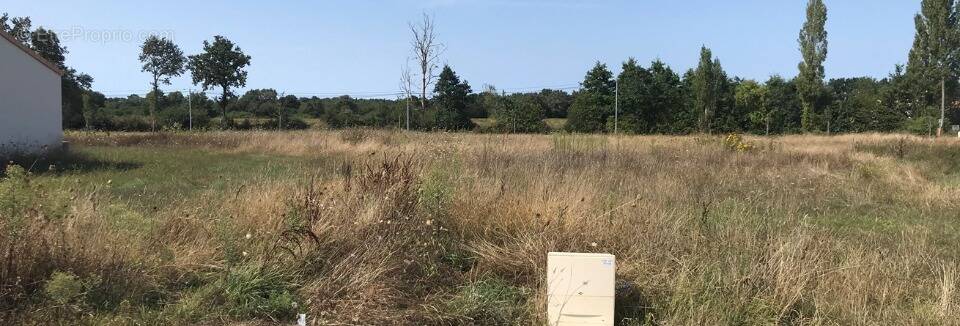 Terrain à CHALLANS