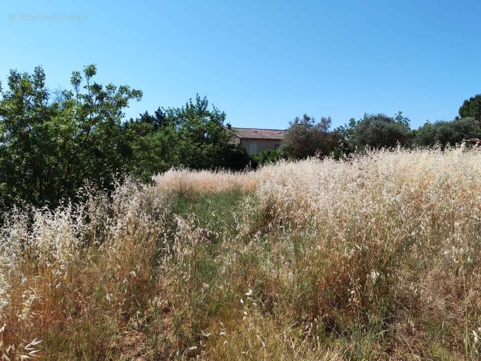 Terrain 628 m² à Lorgues  - photo 7