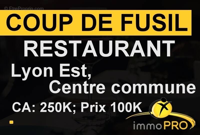 Commerce à MEYZIEU