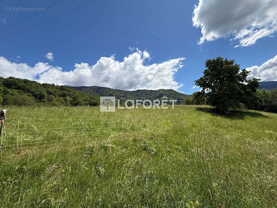 Terrain à CESARCHES