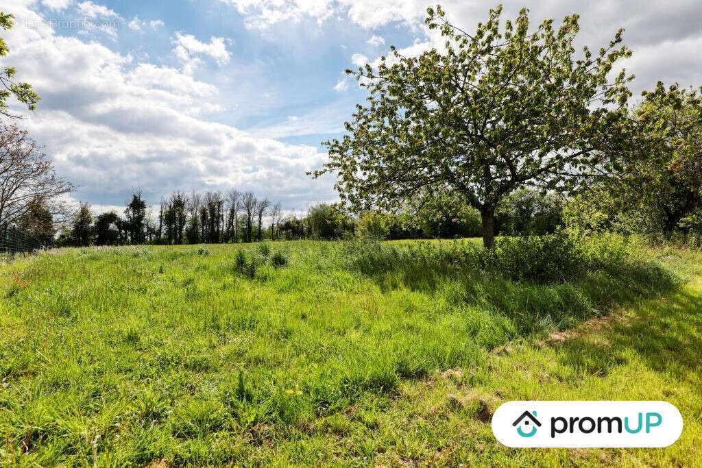 Terrain à NOHANT-EN-GOUT