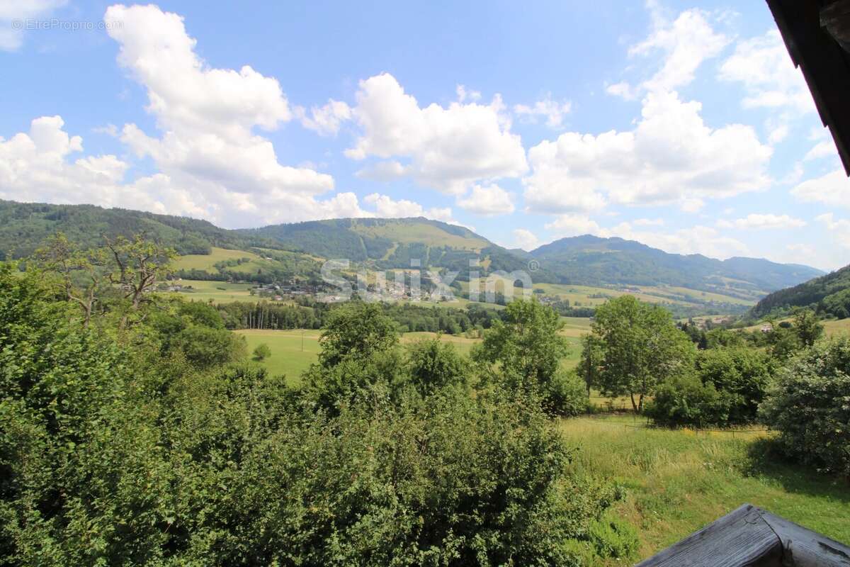 Appartement T5/6 de 147 m² – Ferme rénovée – Vue montagnes – Habère-Poche - photo 23
