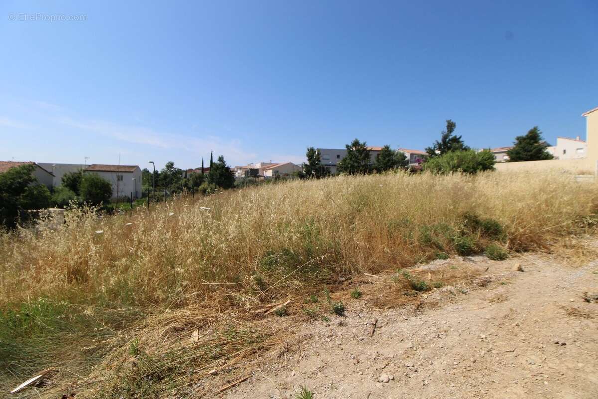 Terrain constructible - photo 2